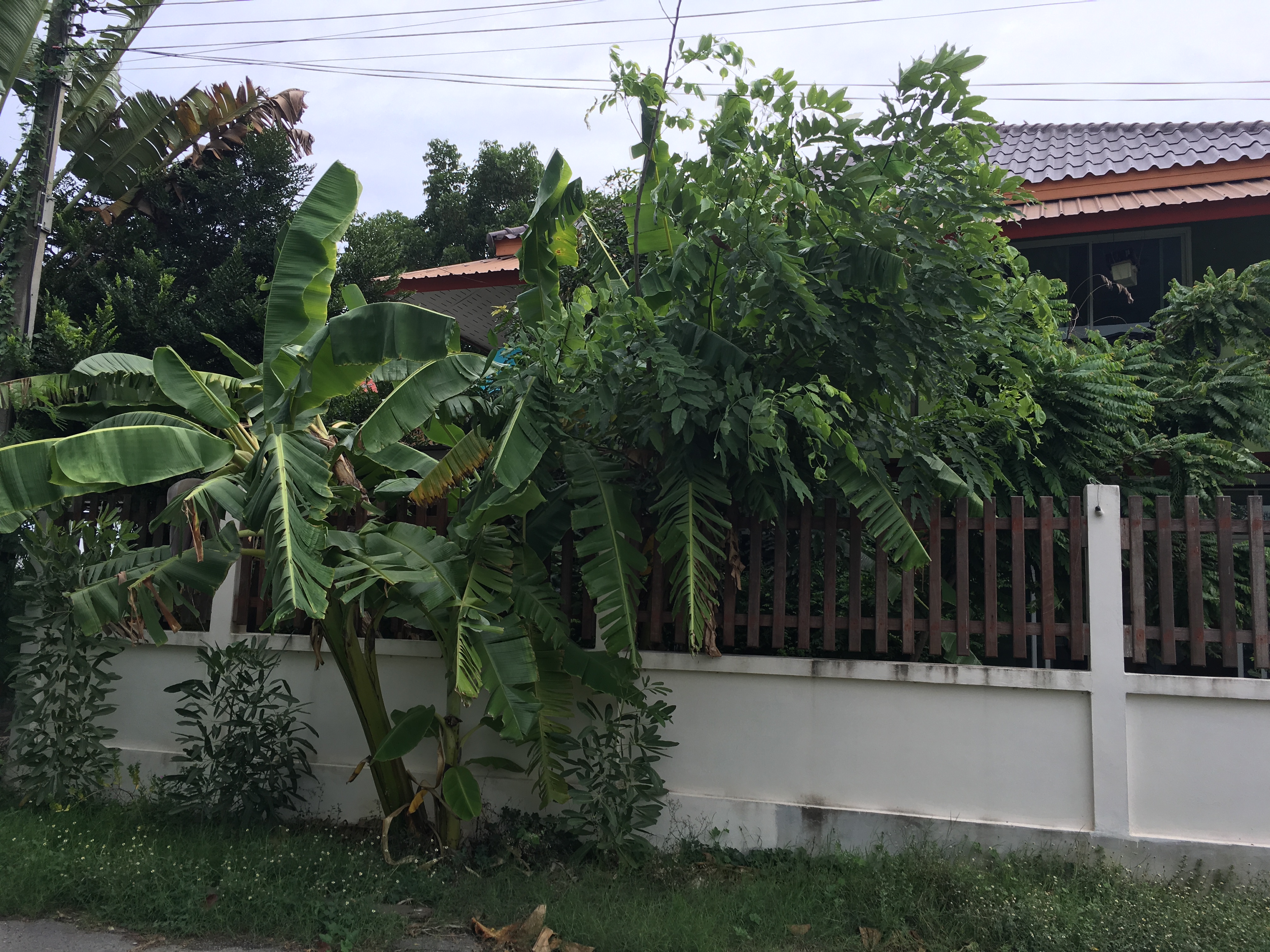 ด้านข้างทรัพย์ GP-010